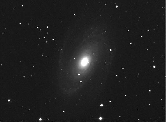 M81