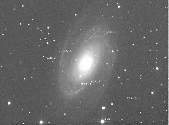 M81