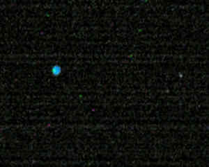 M82