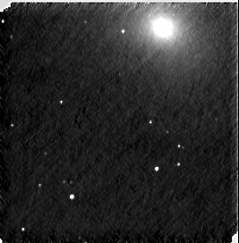 M31